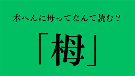 象木|橡（木へんに象）とは？橡（木へんに象）の読み方や意味、成り。